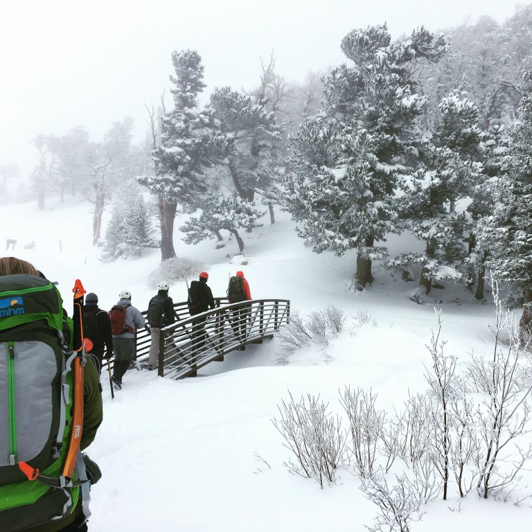 2016-05-01 10.22.20-2